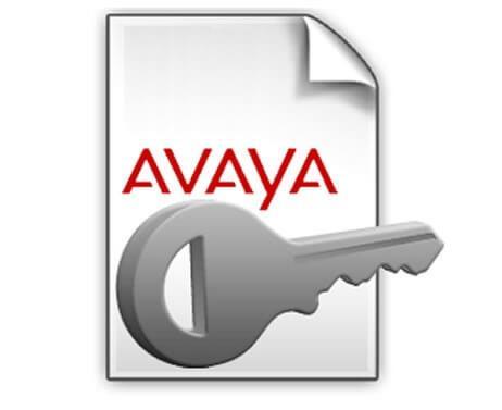 Avaya IP Office R10+ 3rd Party IP Endpoint 1 PLDS License (383072)