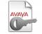 Avaya IP Office R10+ 3rd Party IP Endpoint 1 PLDS License (383072)