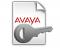 IP Office R10+ Voicemail Pro 2 ADI Migration License